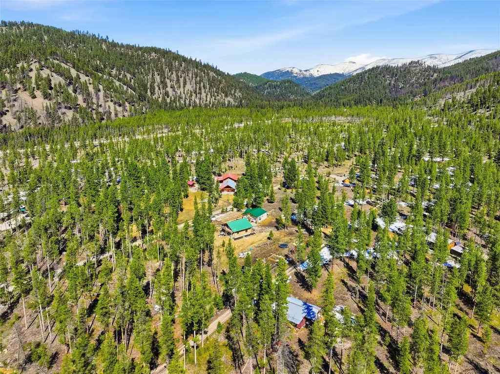 223 E G Street Sula MT 59871