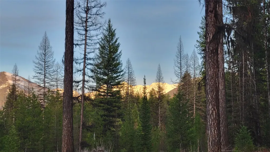 34477 Shay Lake Road Bigfork MT 59911
