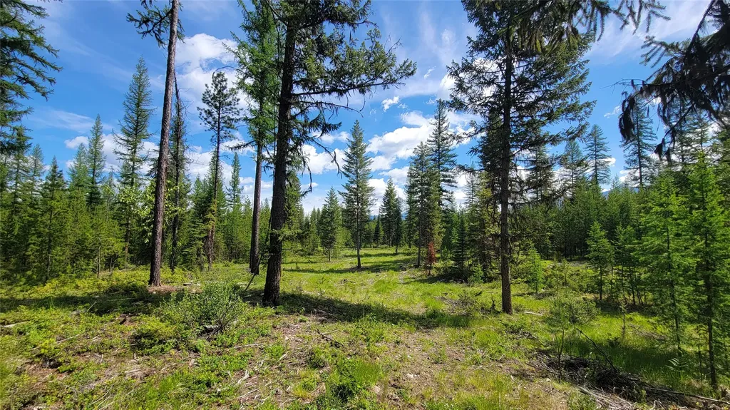 34477 Shay Lake Road Bigfork MT 59911