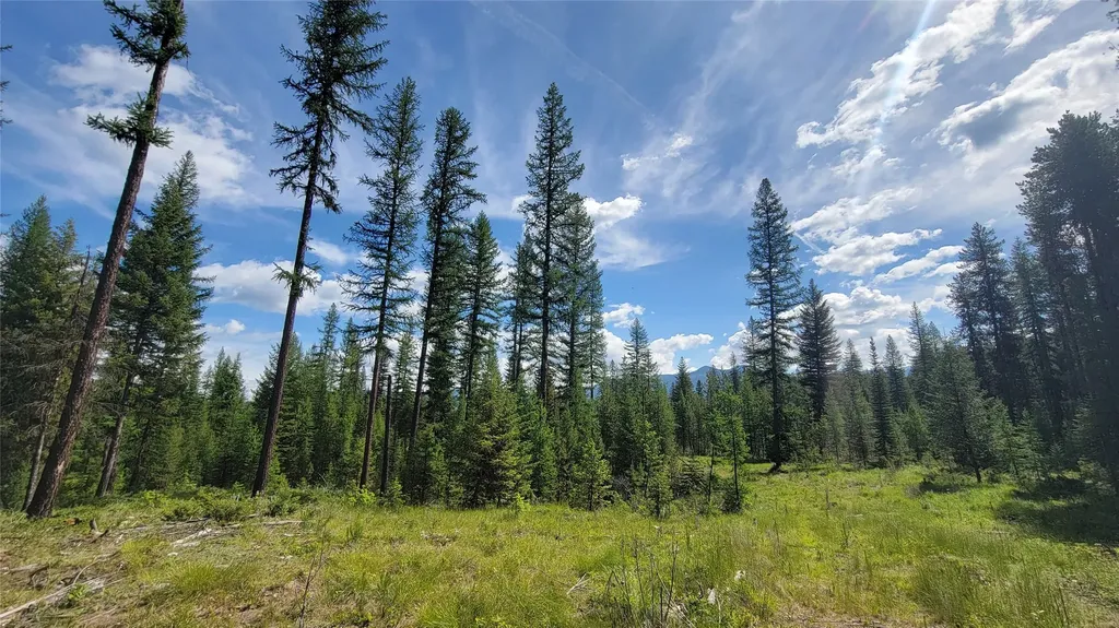 34477 Shay Lake Road Bigfork MT 59911