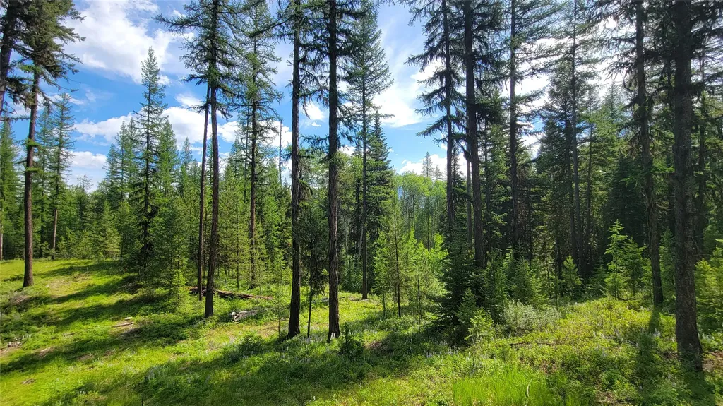 34477 Shay Lake Road Bigfork MT 59911