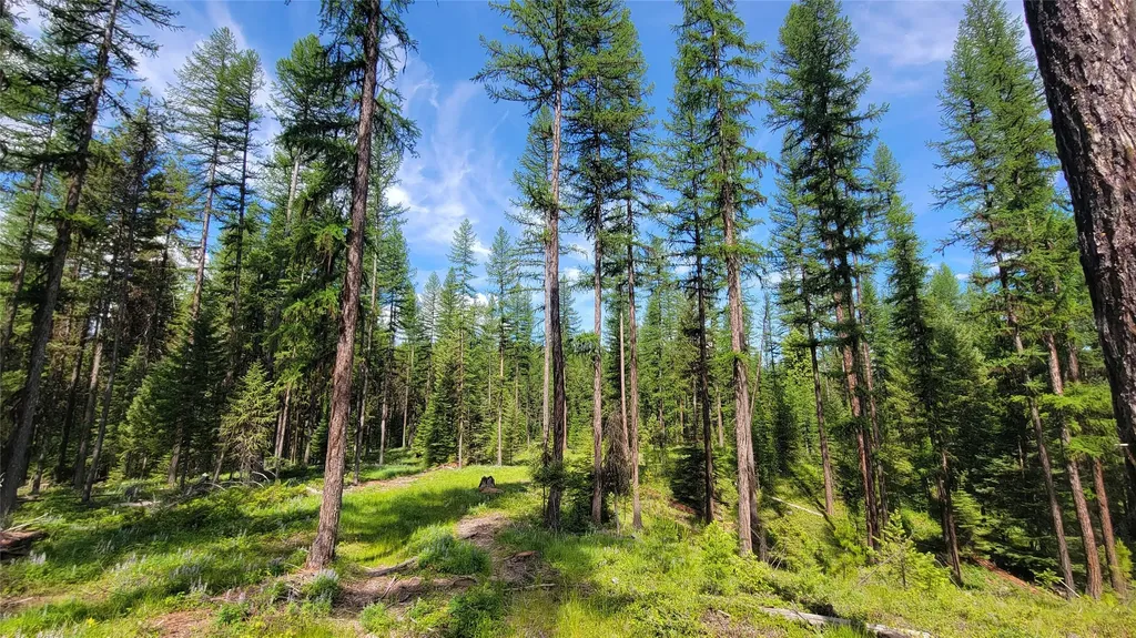 34477 Shay Lake Road Bigfork MT 59911