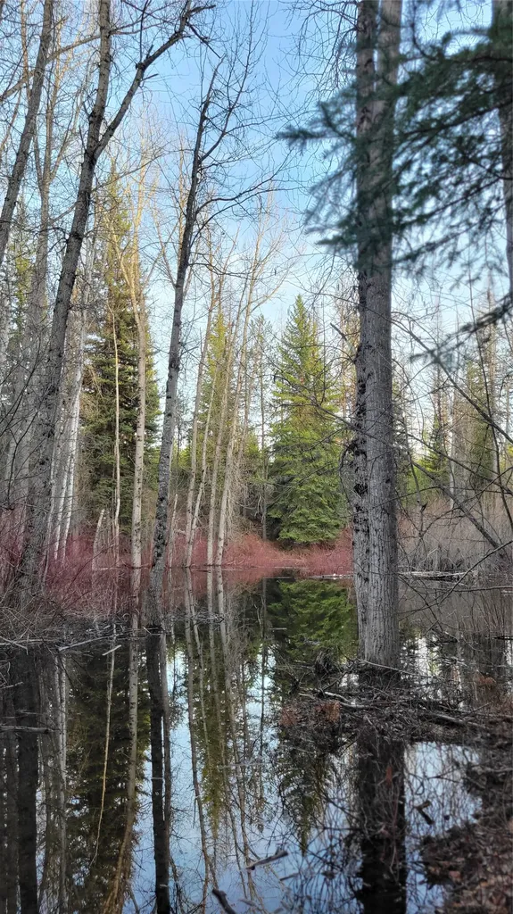 34477 Shay Lake Road Bigfork MT 59911