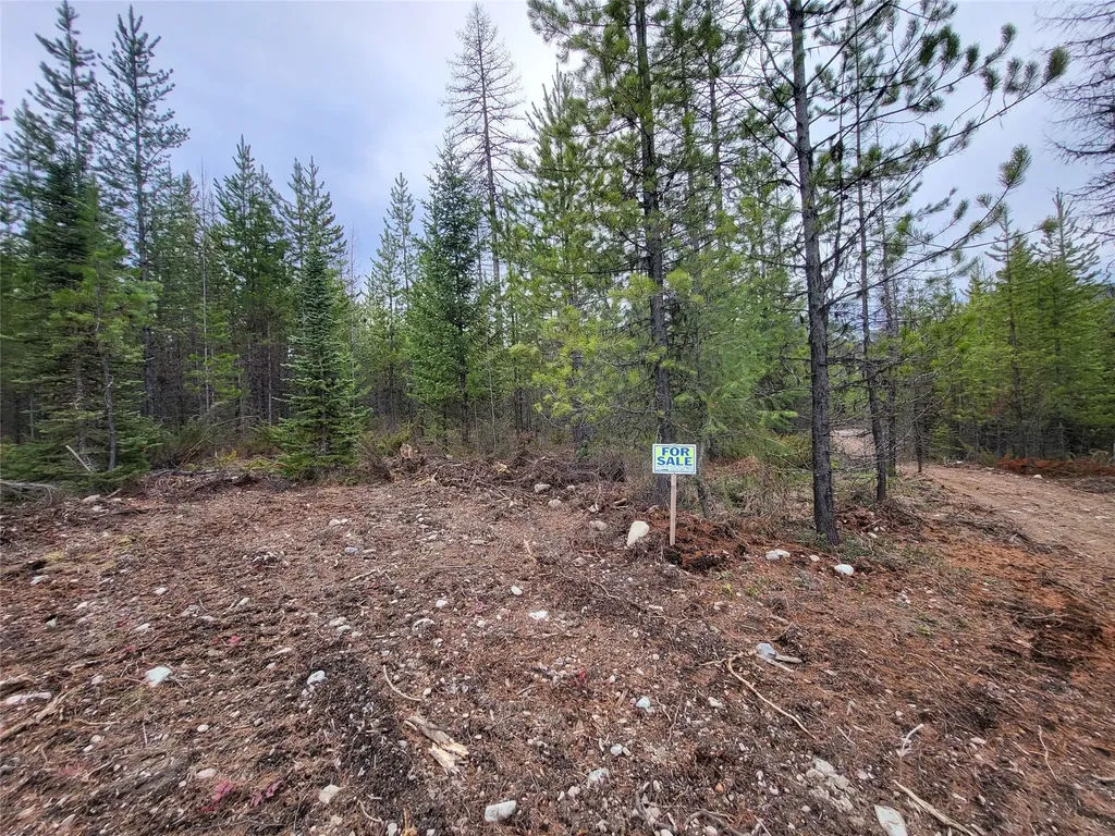34477 Shay Lake Road Bigfork MT 59911