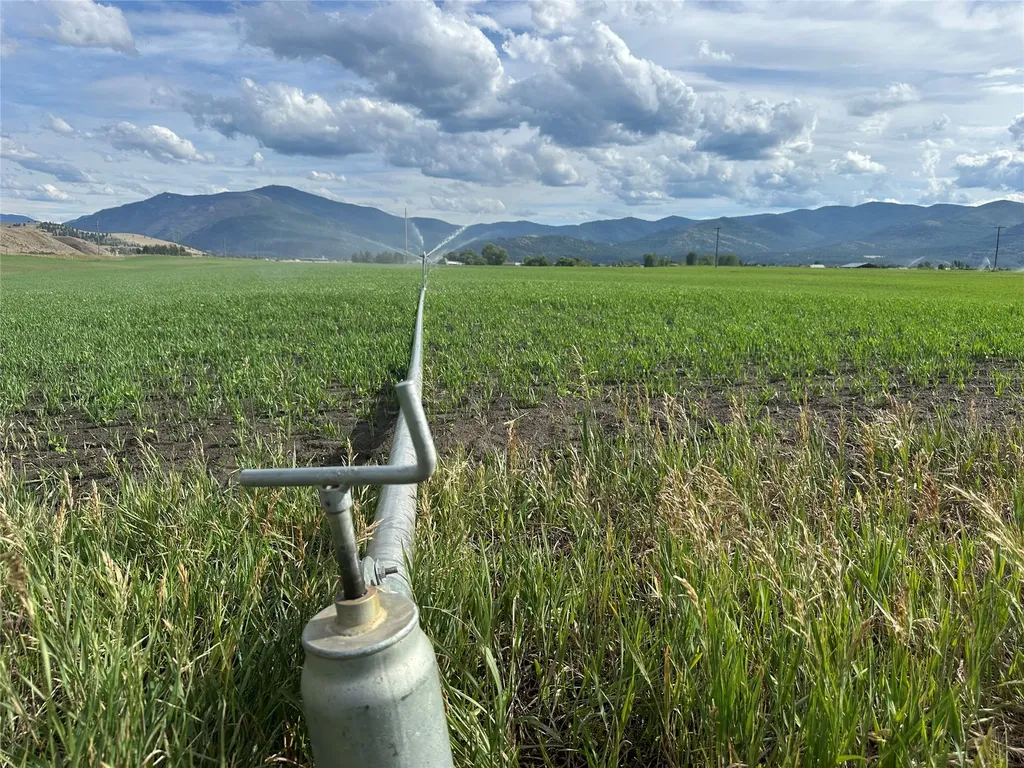 Nhn Lower Lynch Creek Road Plains MT 59859