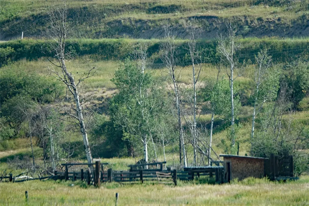 Nhn Lower Lynch Creek Road Plains MT 59859