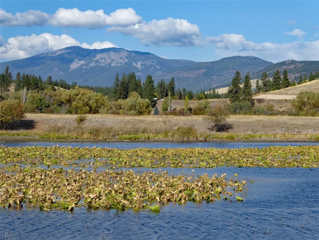 Nhn Lower Lynch Creek Road Plains MT 59859