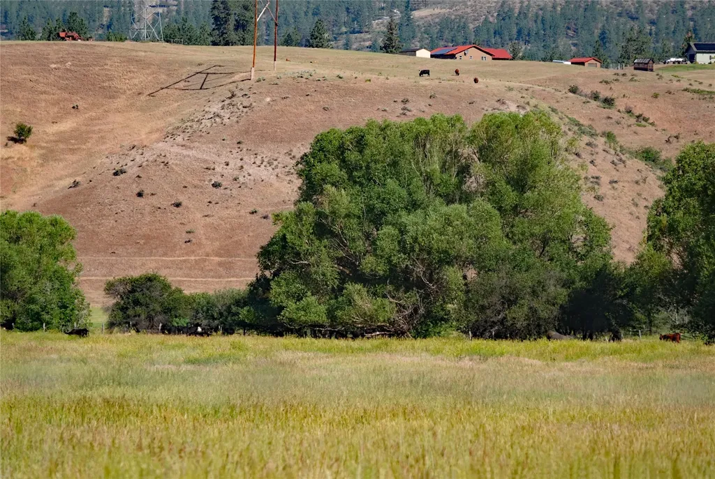 Nhn Lower Lynch Creek Road Plains MT 59859