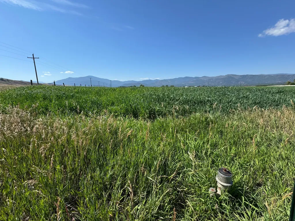 Nhn Lower Lynch Creek Road Plains MT 59859