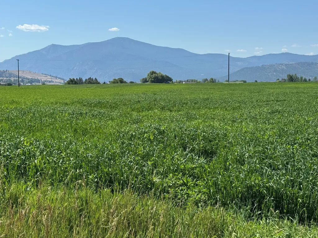 Nhn Lower Lynch Creek Road Plains MT 59859