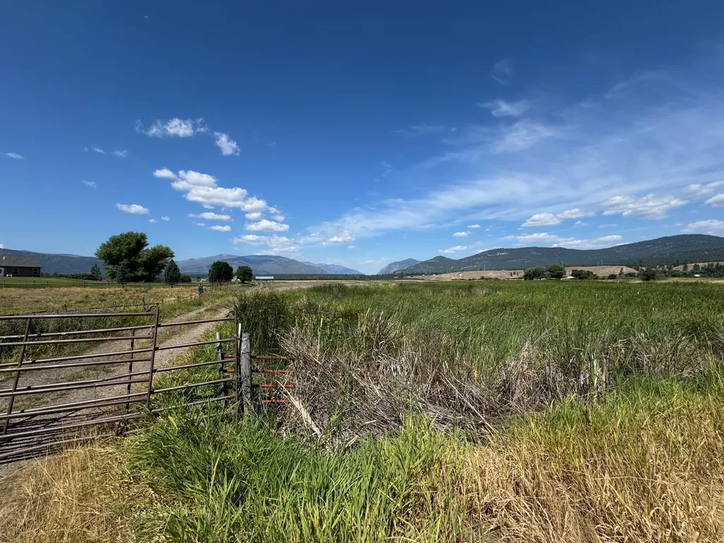 Nhn Lower Lynch Creek Road Plains MT 59859