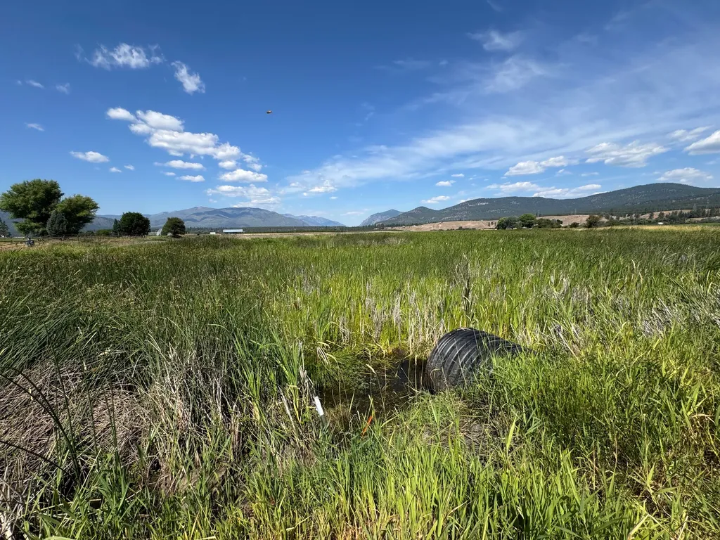 Nhn Lower Lynch Creek Road Plains MT 59859