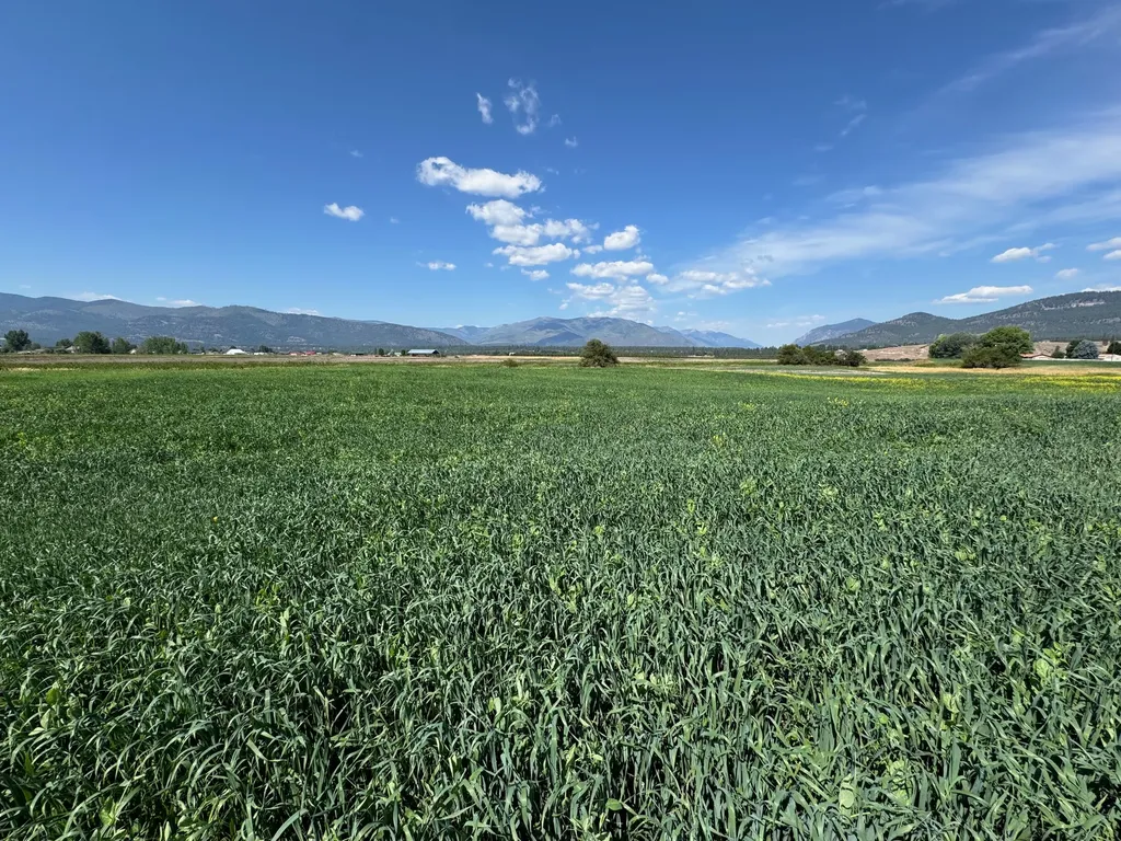 Nhn Lower Lynch Creek Road Plains MT 59859