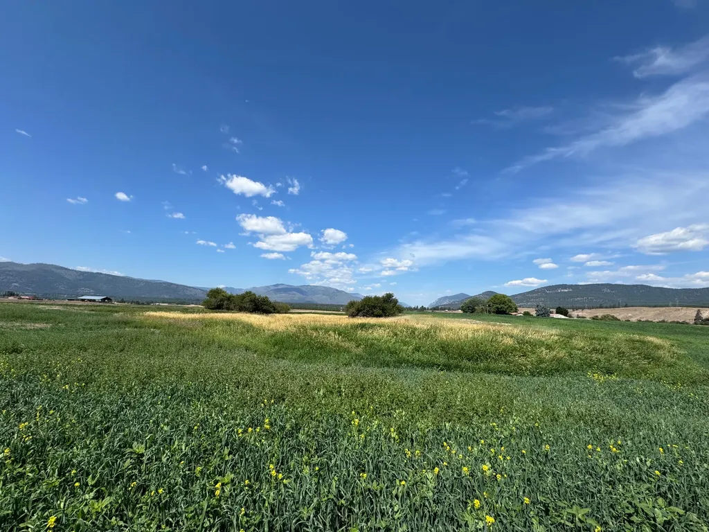 Nhn Lower Lynch Creek Road Plains MT 59859