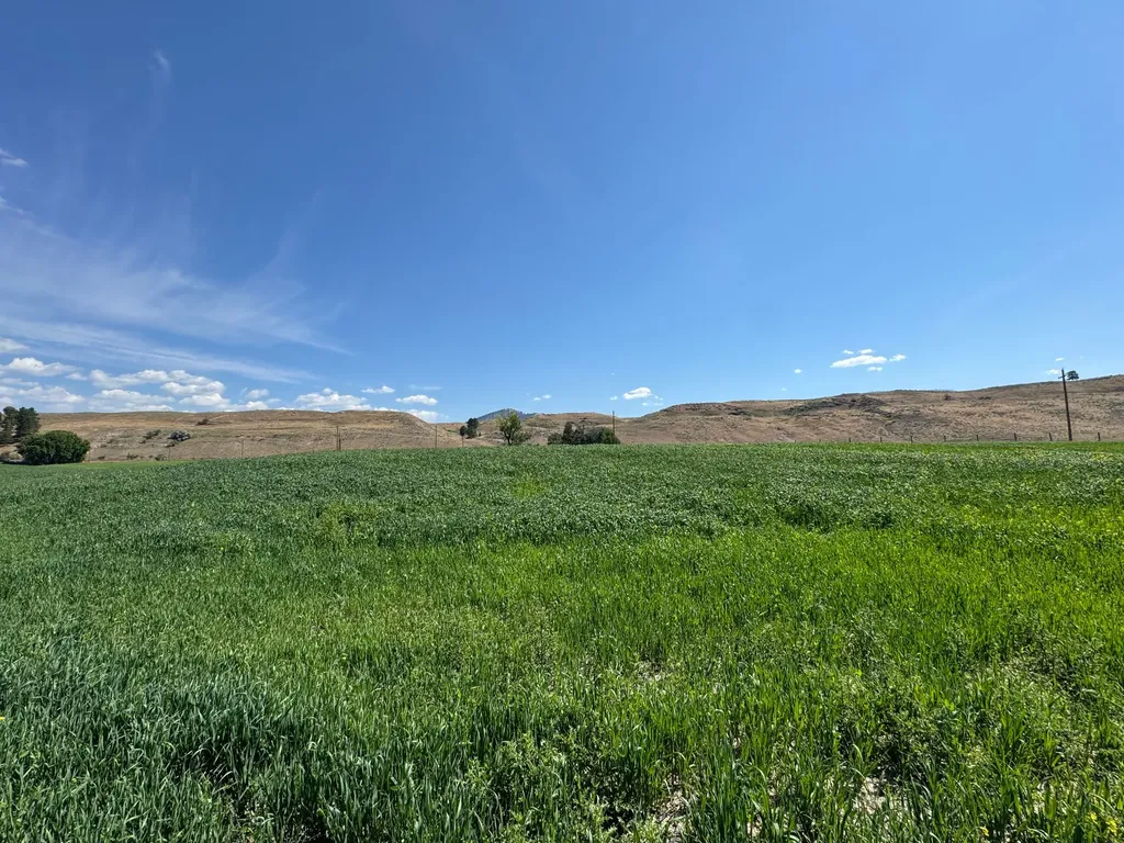 Nhn Lower Lynch Creek Road Plains MT 59859