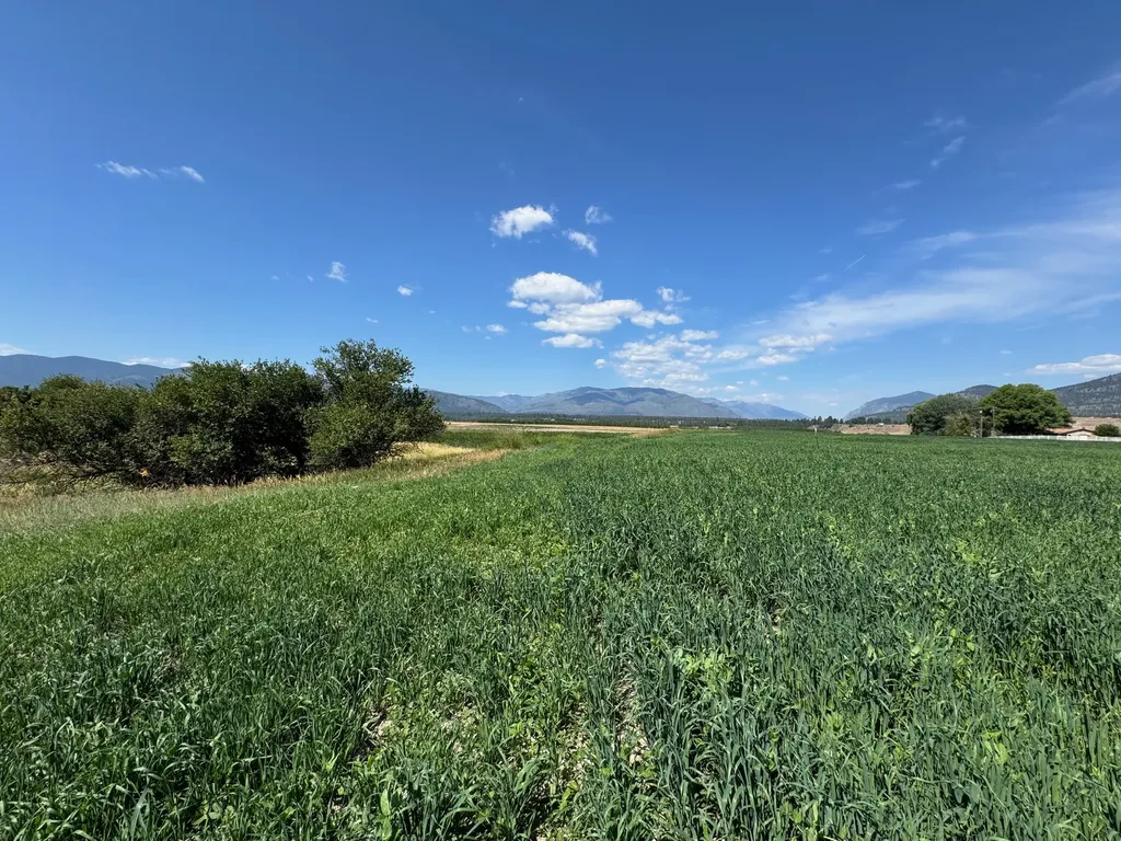 Nhn Lower Lynch Creek Road Plains MT 59859
