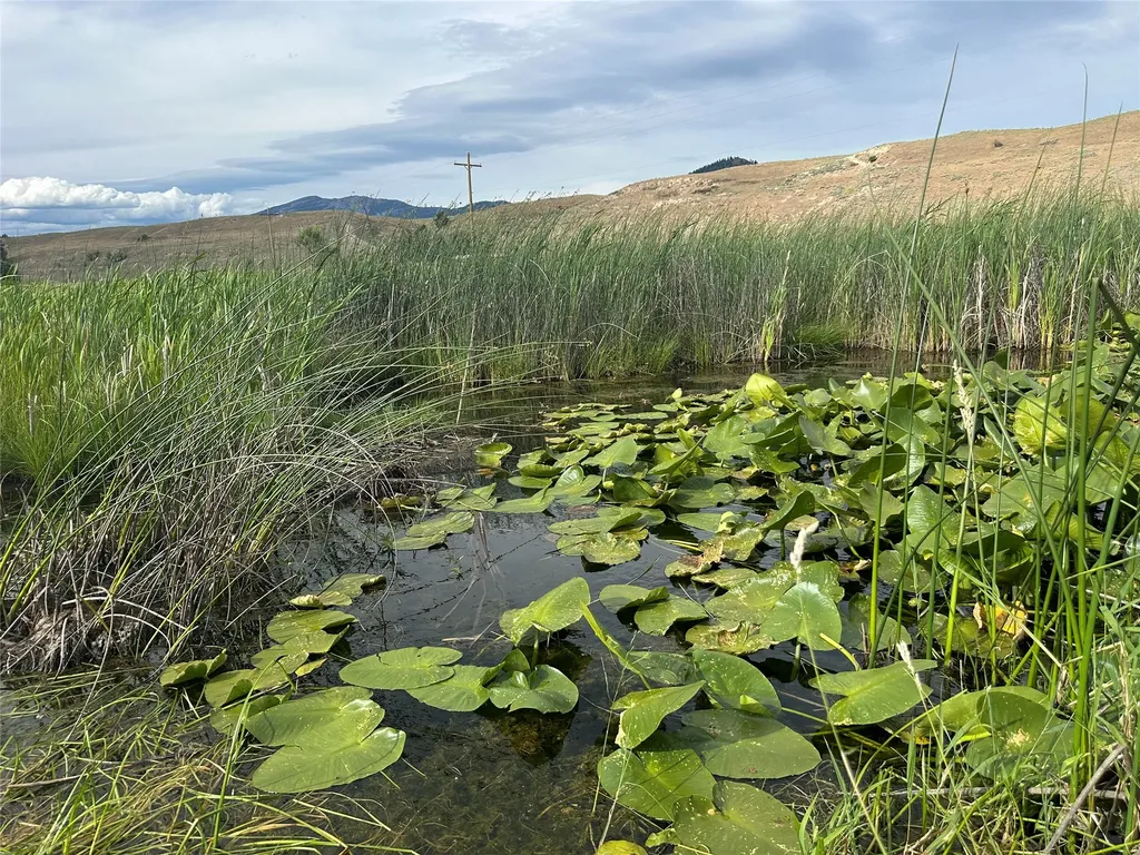 Nhn Lower Lynch Creek Road Plains MT 59859