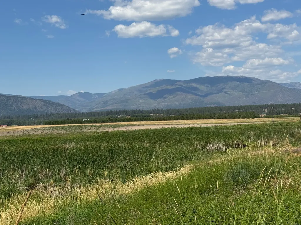 Nhn Lower Lynch Creek Road Plains MT 59859