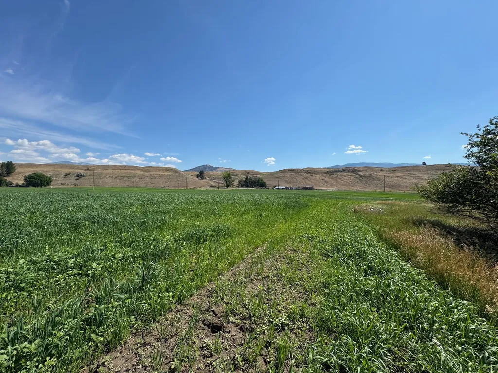 Nhn Lower Lynch Creek Road Plains MT 59859