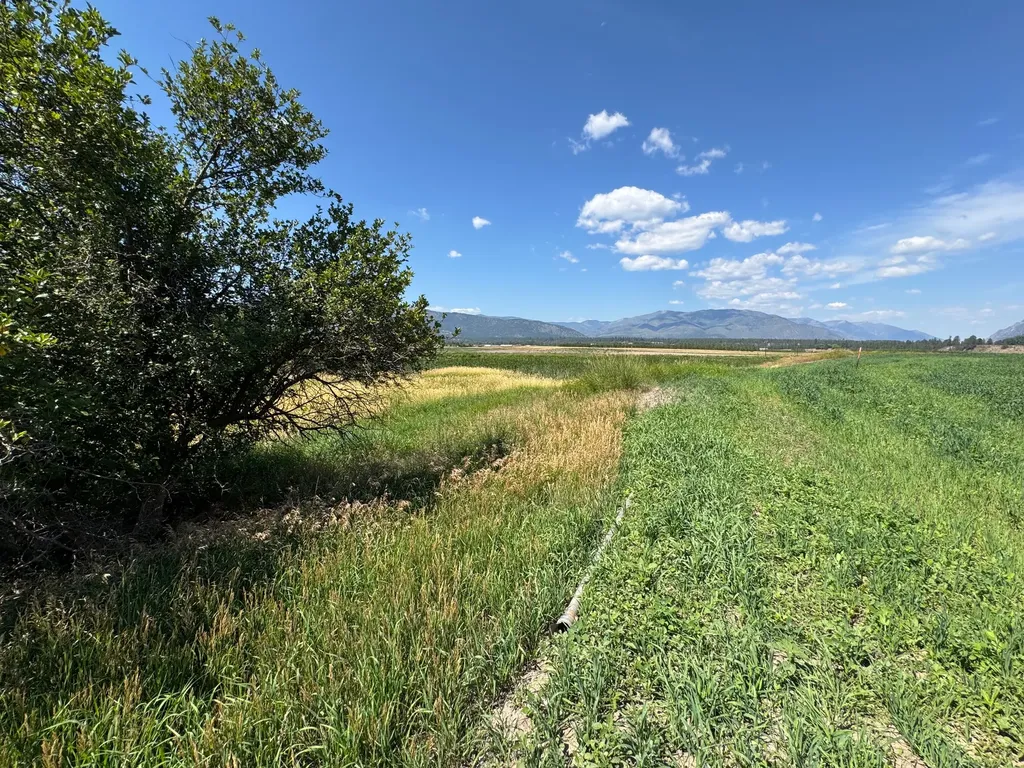 Nhn Lower Lynch Creek Road Plains MT 59859