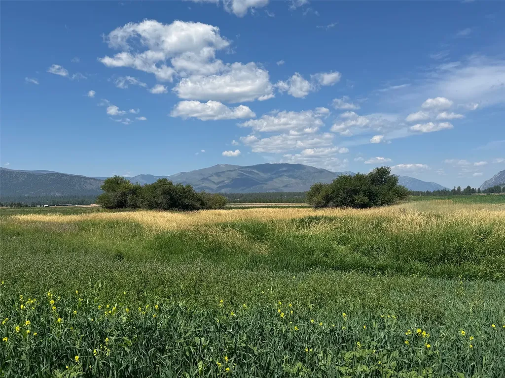 Nhn Lower Lynch Creek Road Plains MT 59859