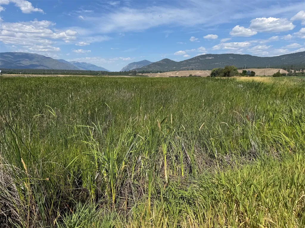 Nhn Lower Lynch Creek Road Plains MT 59859