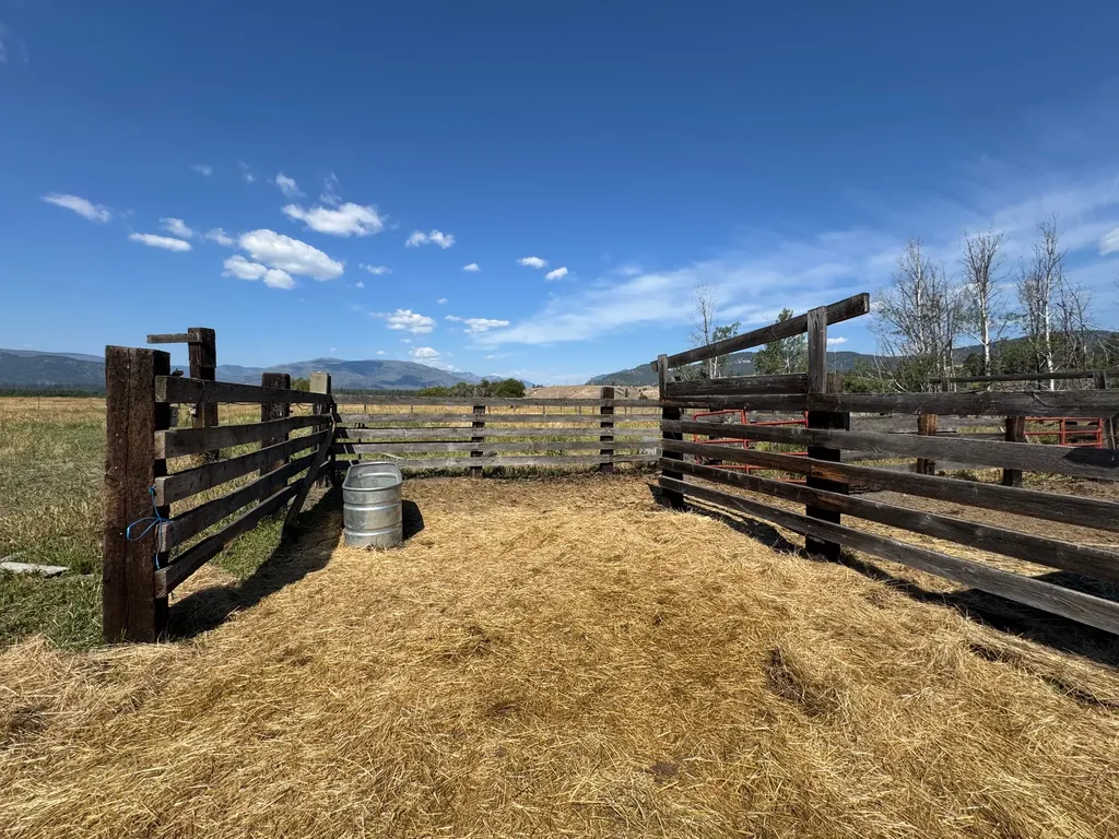 Nhn Lower Lynch Creek Road Plains MT 59859