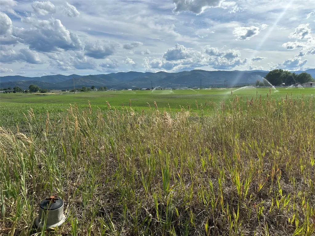 Nhn Lower Lynch Creek Road Plains MT 59859