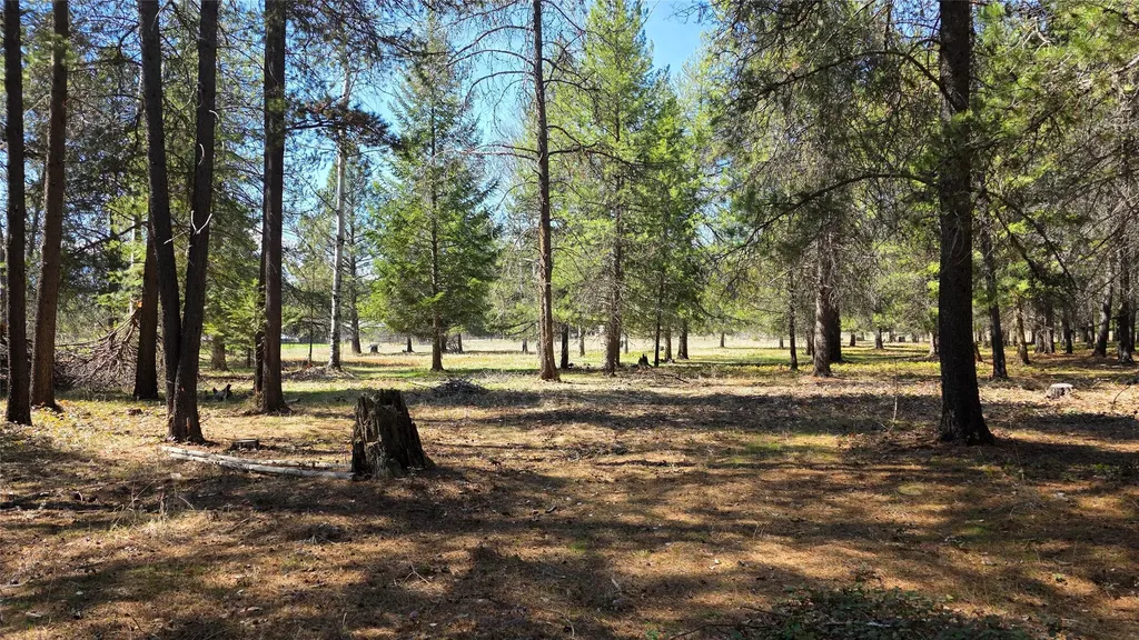 143 Horizon Drive Libby MT 59923