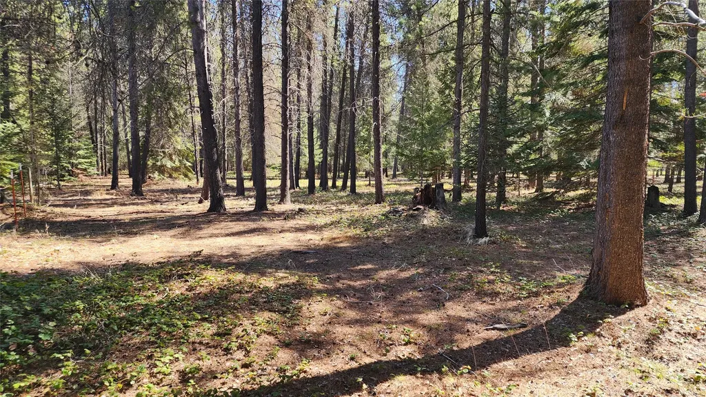 143 Horizon Drive Libby MT 59923