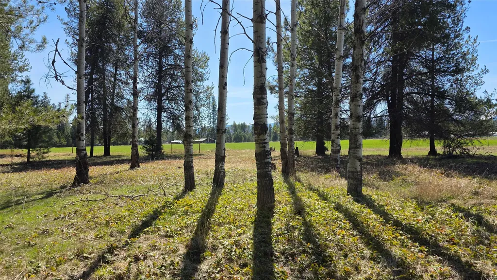 143 Horizon Drive Libby MT 59923