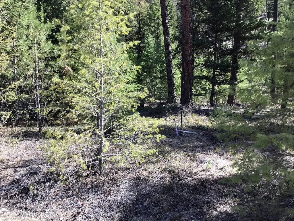 2300 Keystone Gulch Road Superior MT 59872