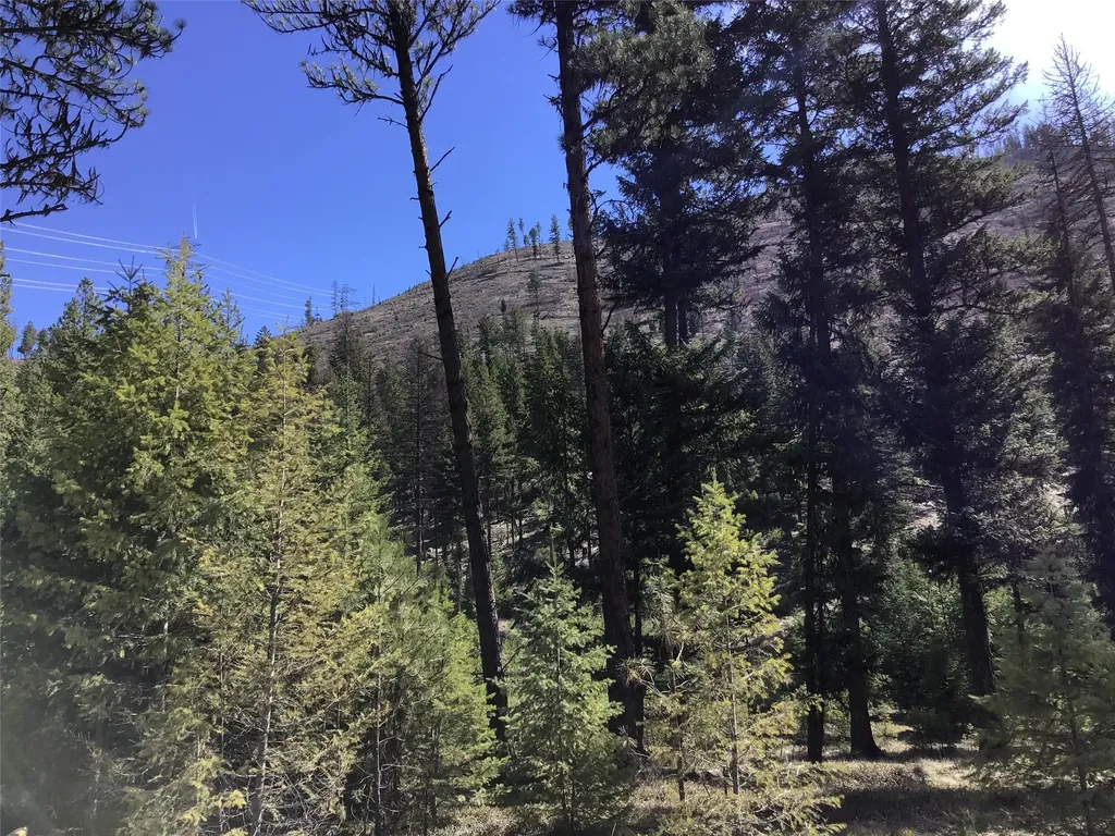 2300 Keystone Gulch Road Superior MT 59872