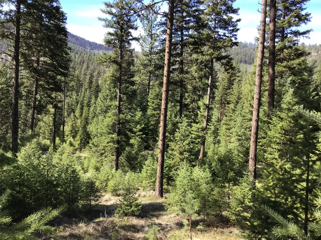 2300 Keystone Gulch Road Superior MT 59872
