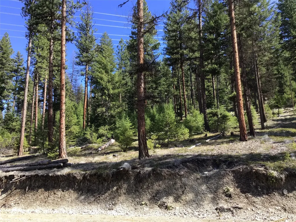 2300 Keystone Gulch Road Superior MT 59872