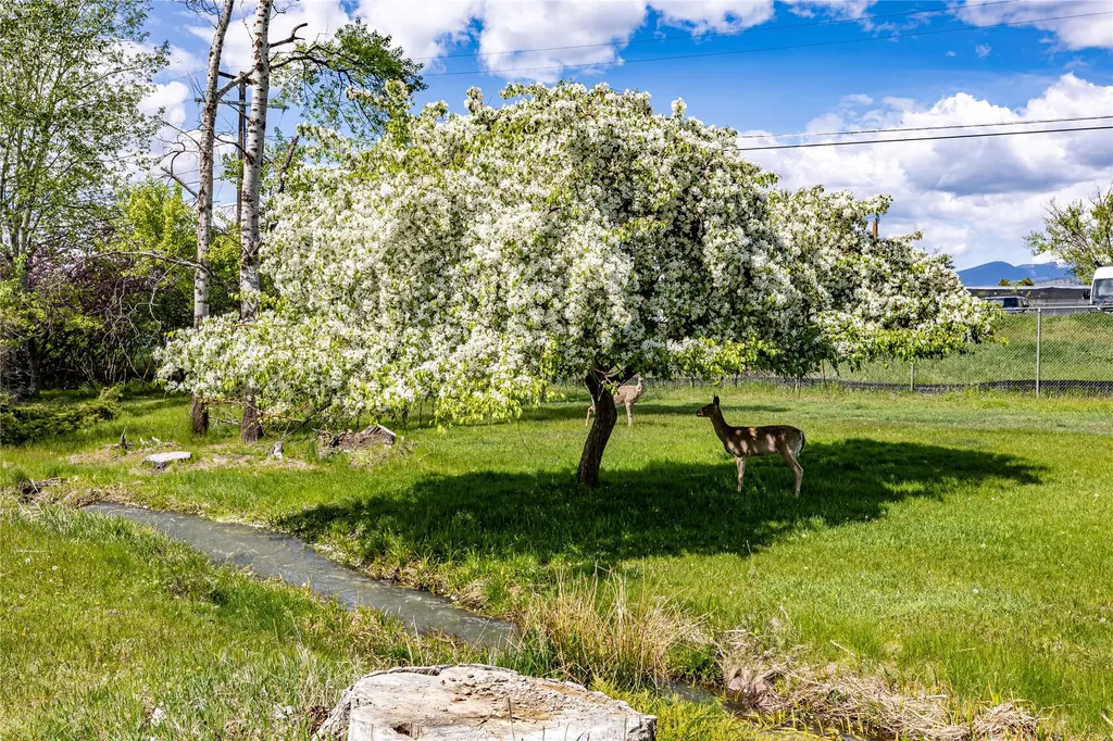 110 Hillcrest Loop Missoula MT 59803