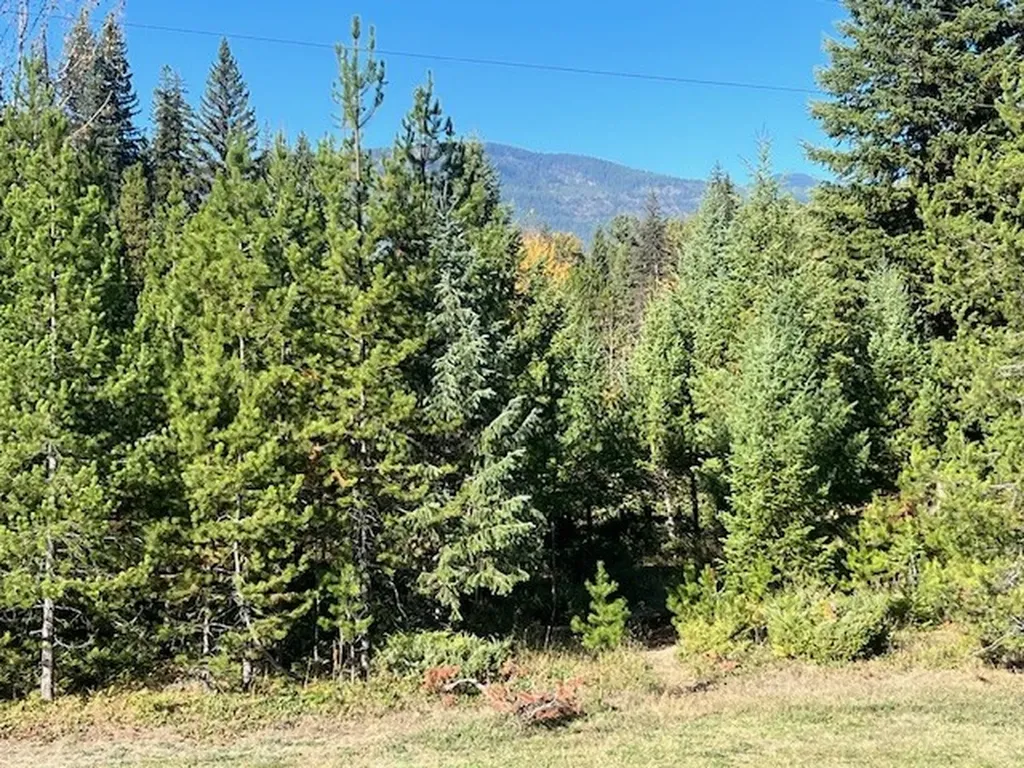 7395 Highway 83 N Condon MT 59826