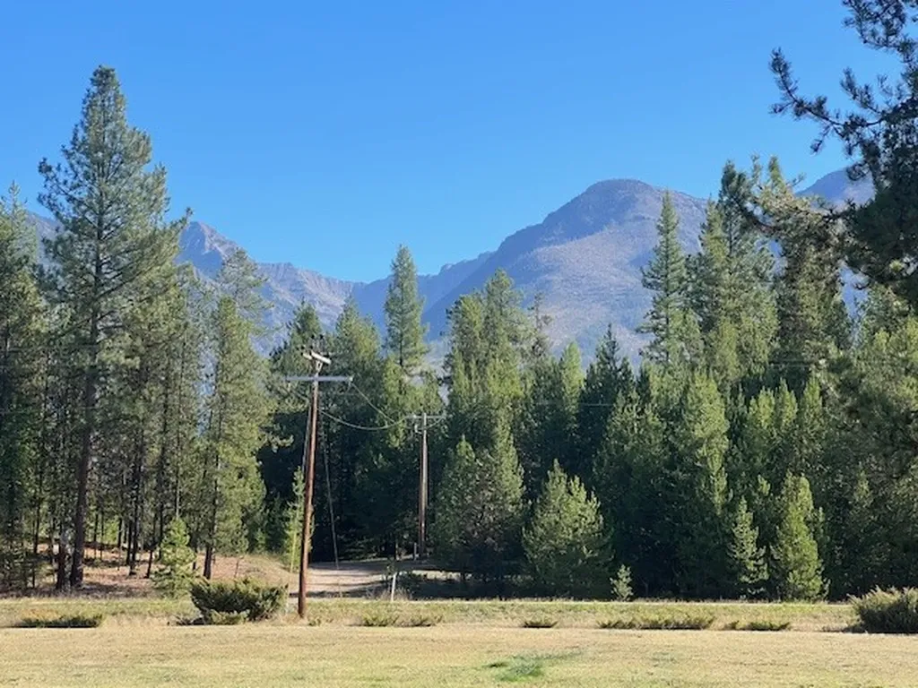 7395 Highway 83 N Condon MT 59826