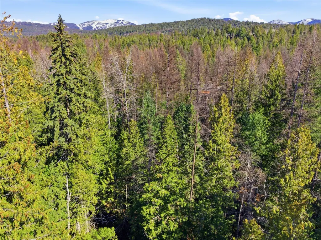 107 Kinnikinnik Circle Whitefish MT 59937
