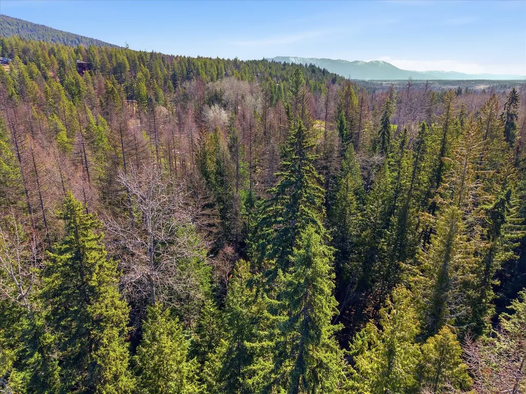 107 Kinnikinnik Circle Whitefish MT 59937