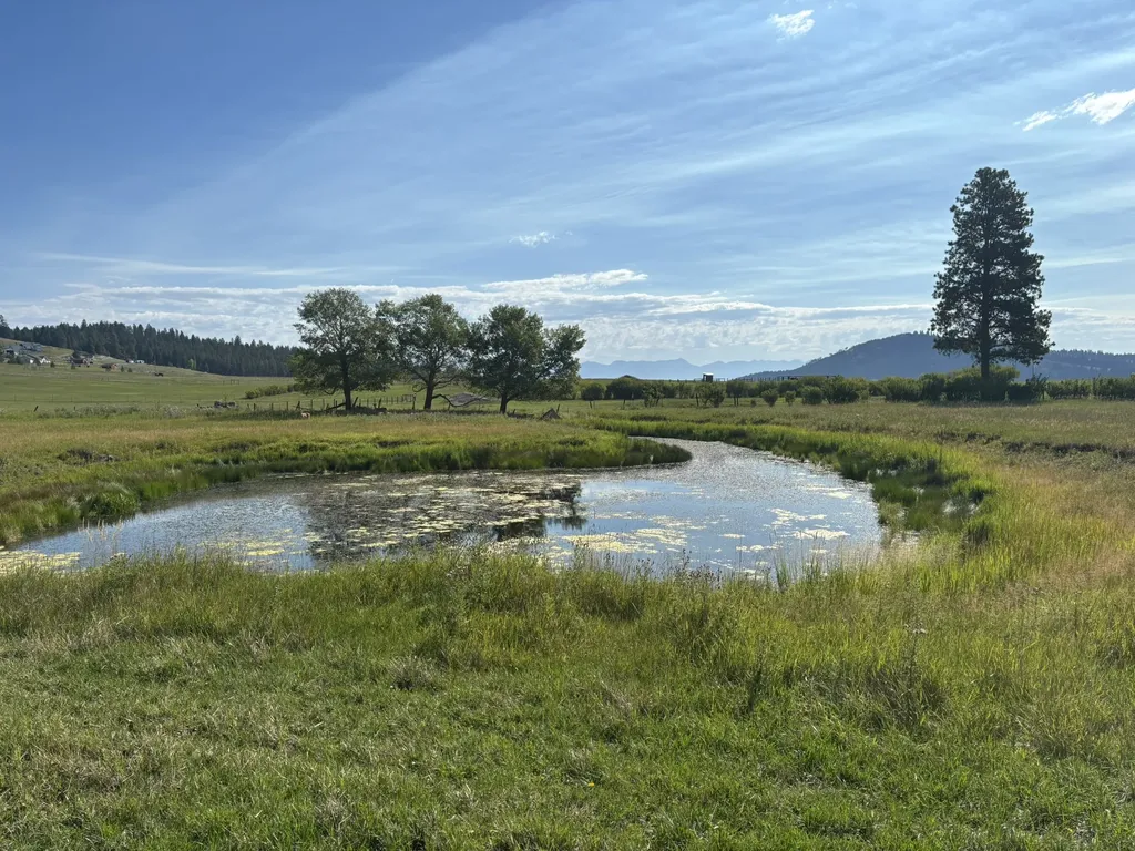 691 Morning View Drive Kalispell MT 59901