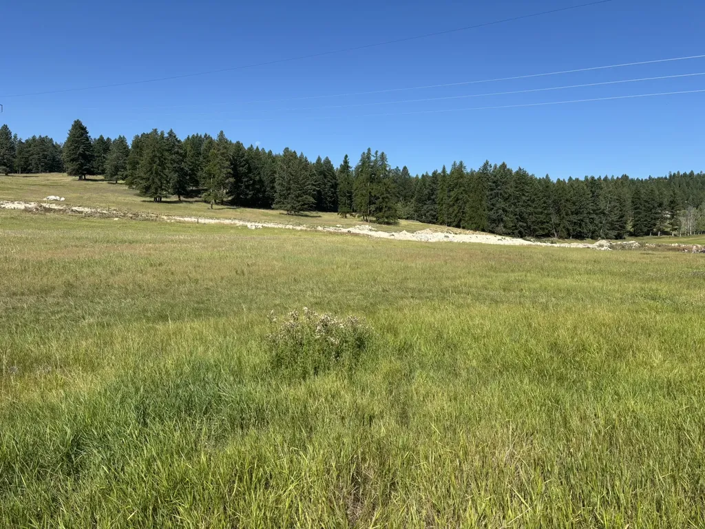 691 Morning View Drive Kalispell MT 59901