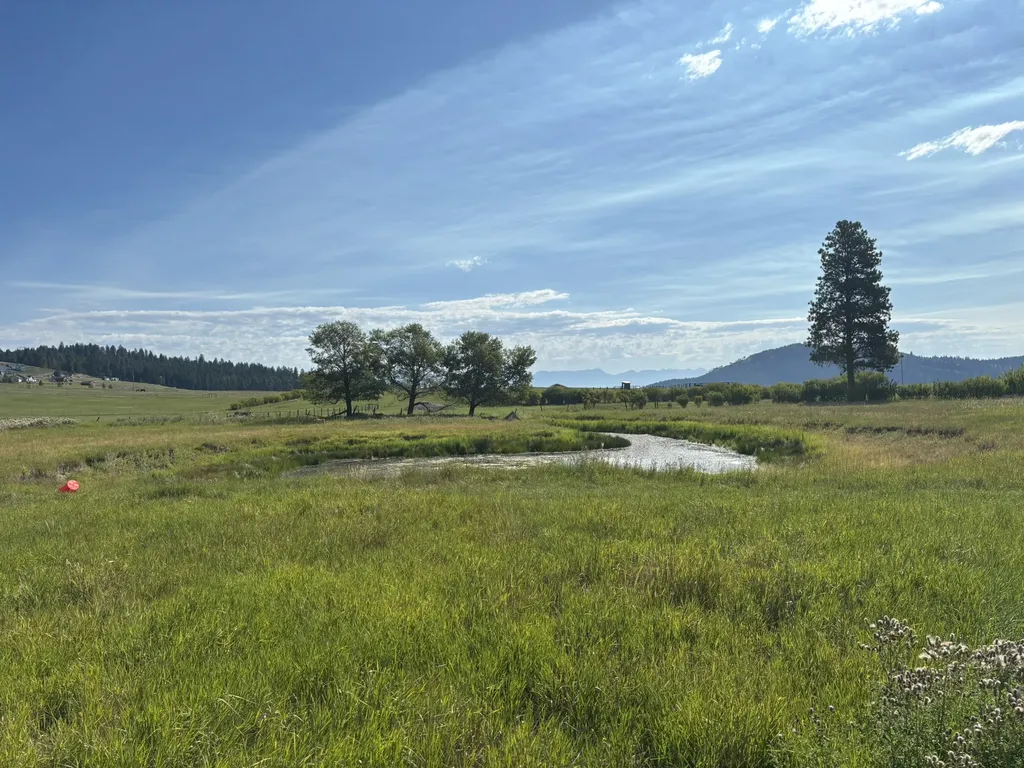 691 Morning View Drive Kalispell MT 59901