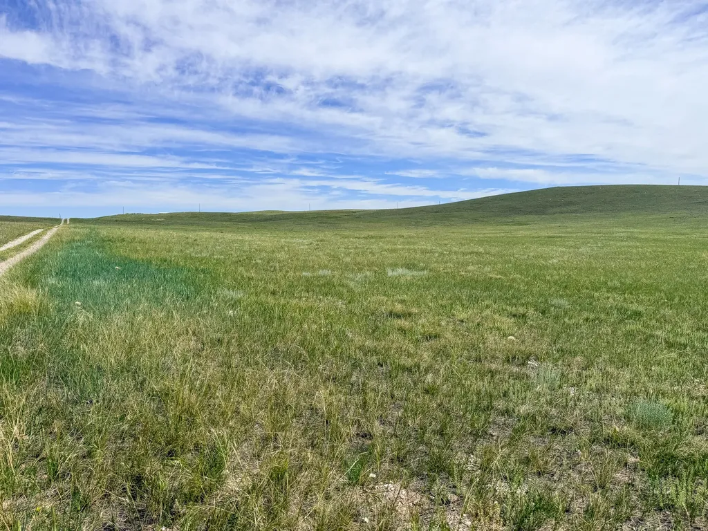 Lot 146 Willow Creek Subdivision Augusta MT 59410