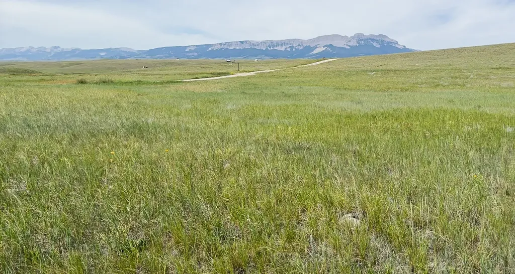 Lot 146 Willow Creek Subdivision Augusta MT 59410