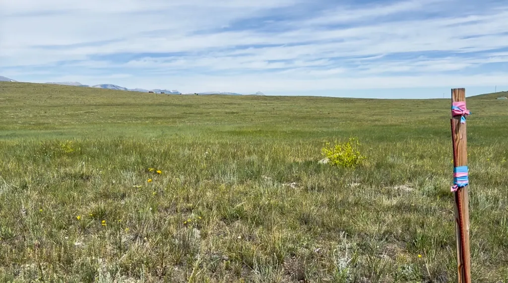 Lot 146 Willow Creek Subdivision Augusta MT 59410