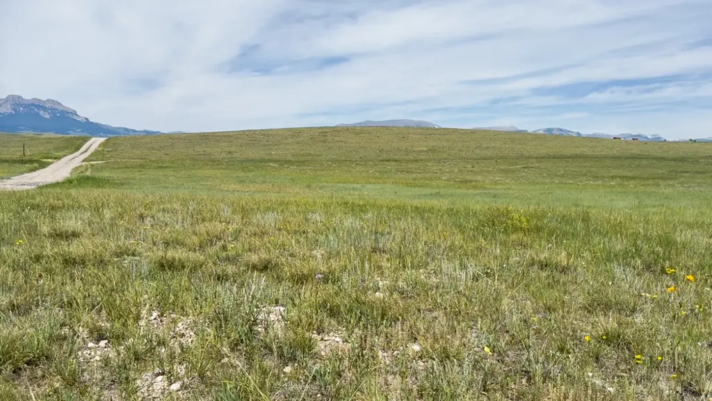 Lot 146 Willow Creek Subdivision Augusta MT 59410