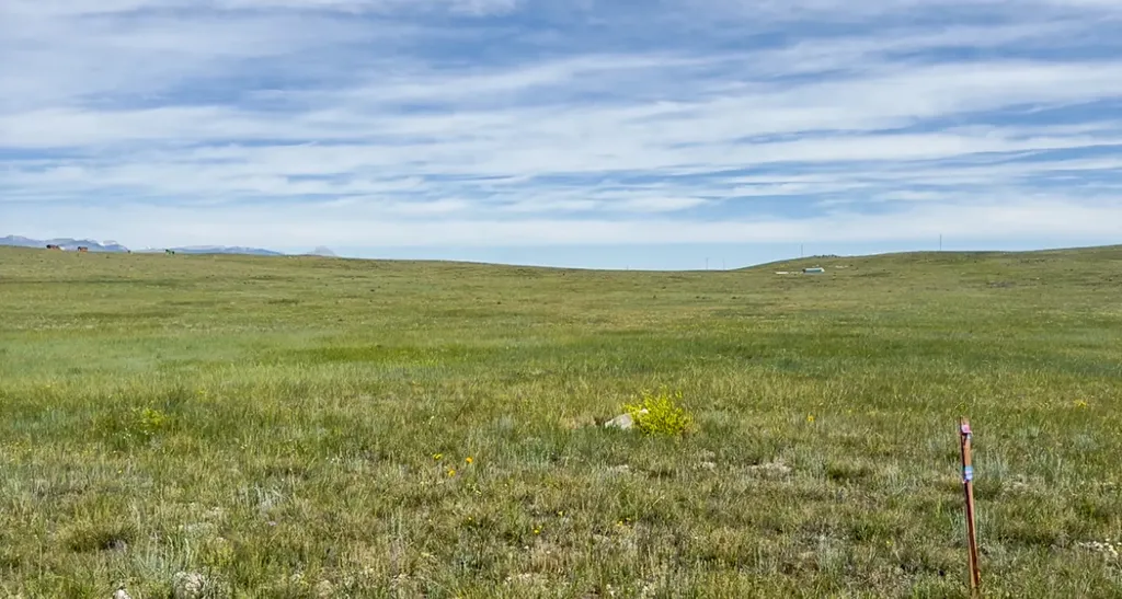 Lot 146 Willow Creek Subdivision Augusta MT 59410