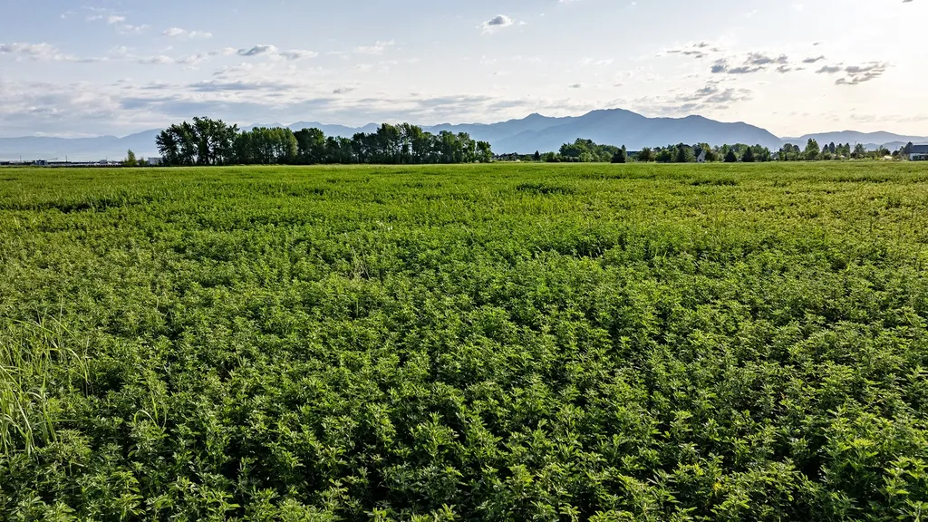 3849 Staffanson Road Bozeman MT 59718