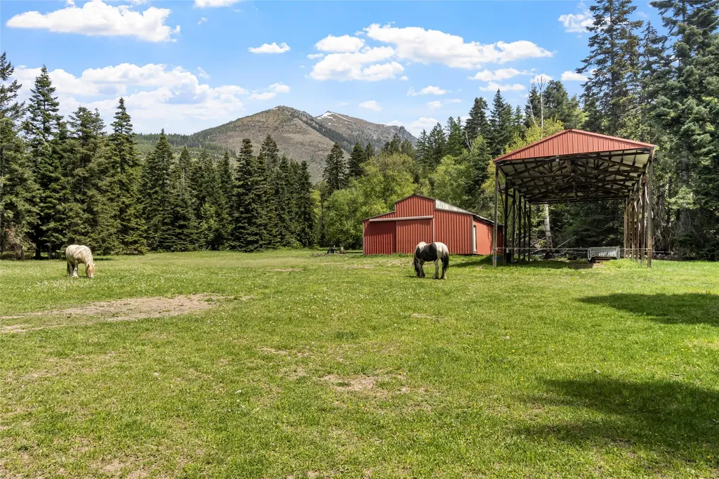 13034 Red Owl Trail Bigfork MT 59911